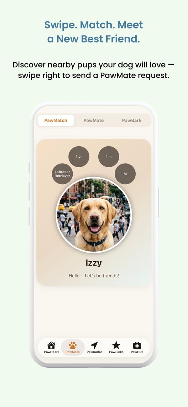 PocketPaw home screen
