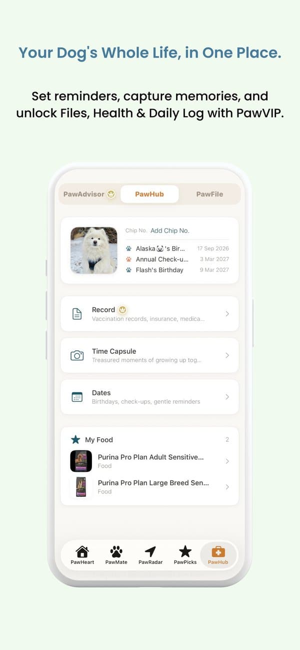 PawMate — match and chat