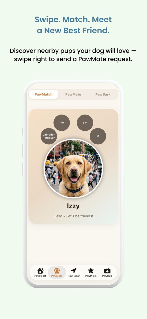 PocketPaw home screen